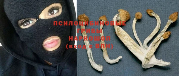 дживик Алексин